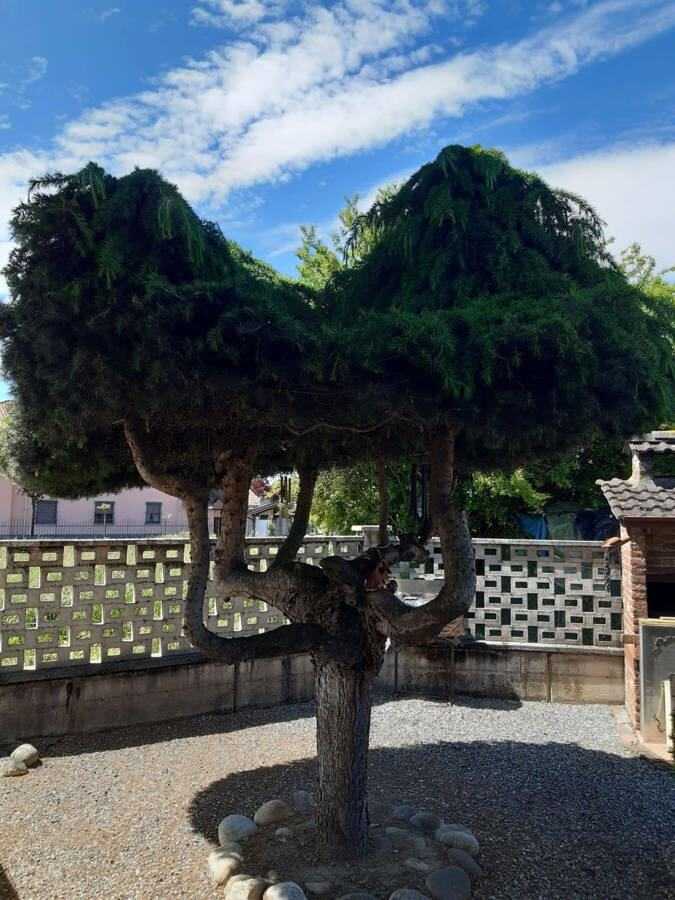  - foto 11