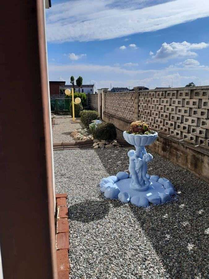  - foto 22