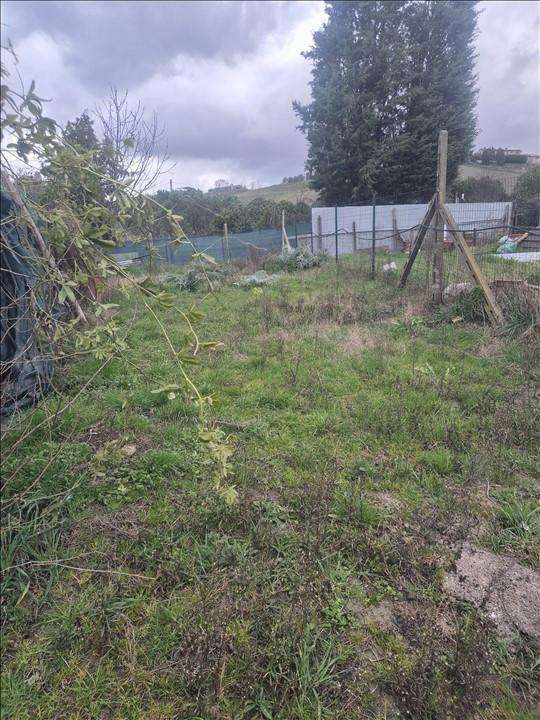  - foto 26