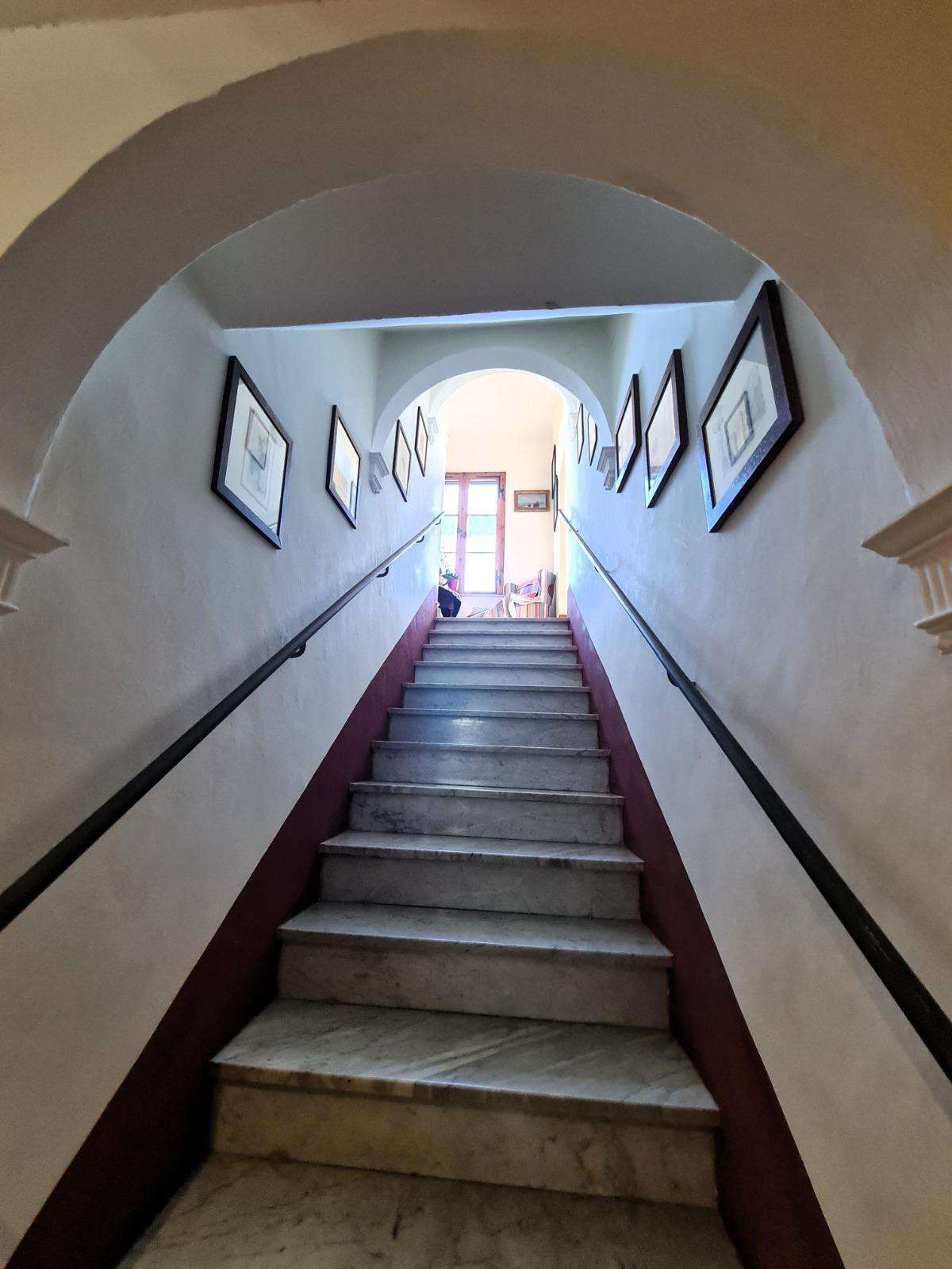  - foto 11
