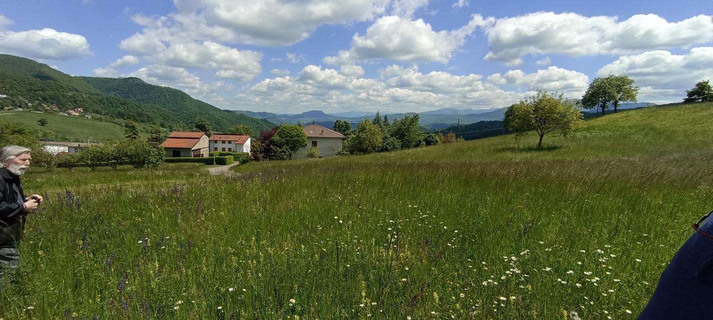  - foto 2