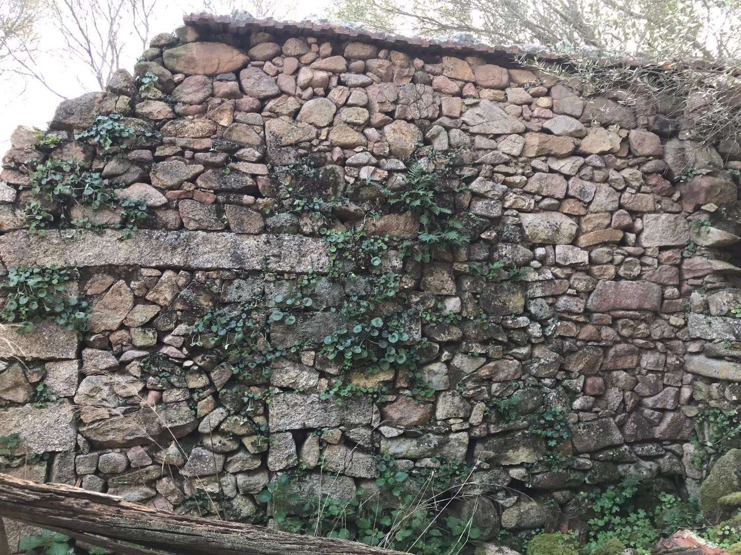 - foto 10