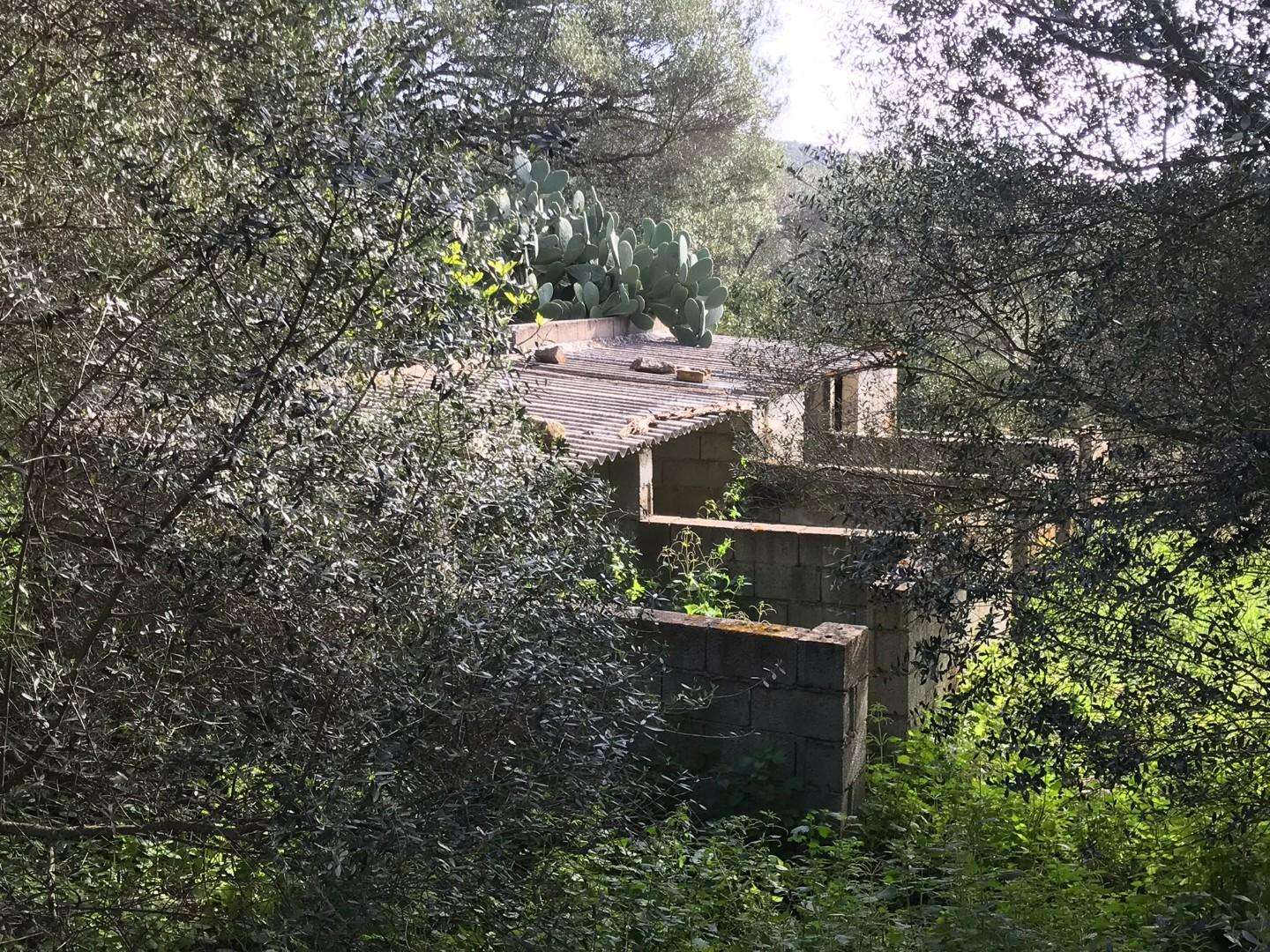  - foto 18