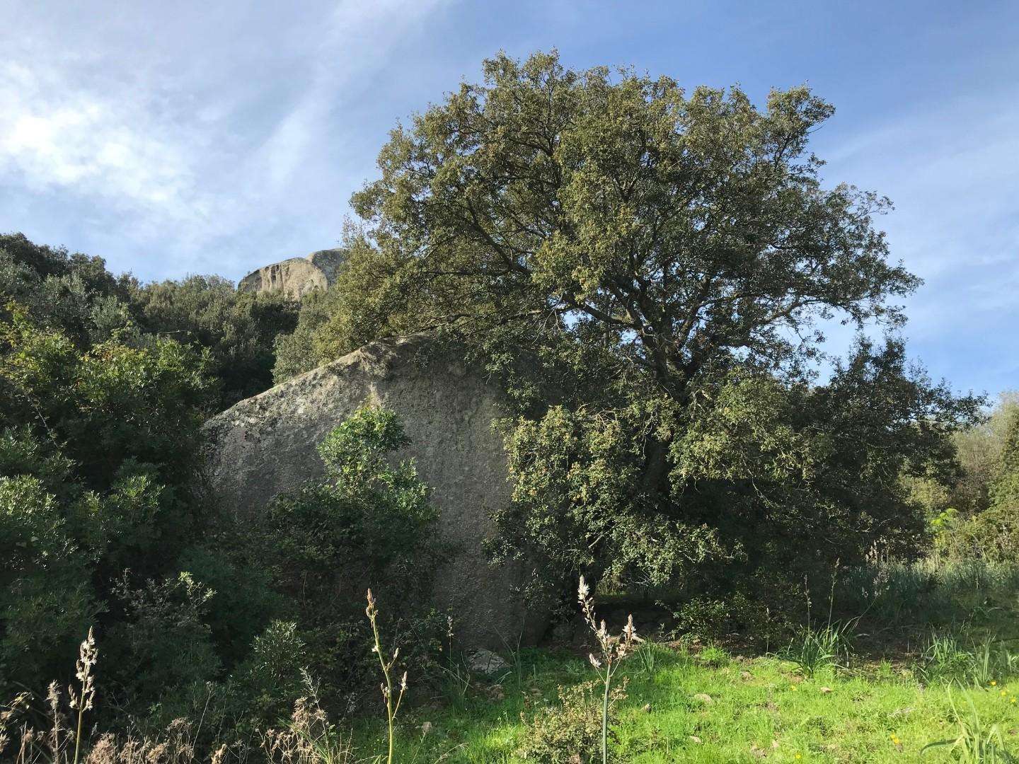  - foto 38