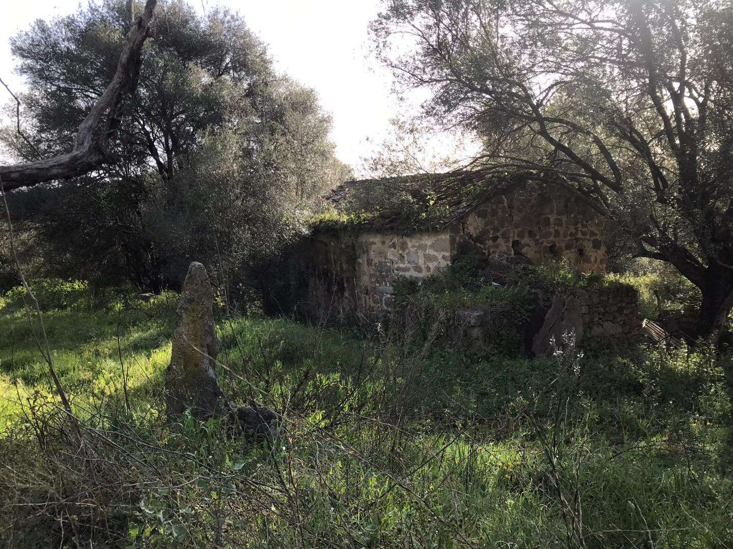  - foto 7