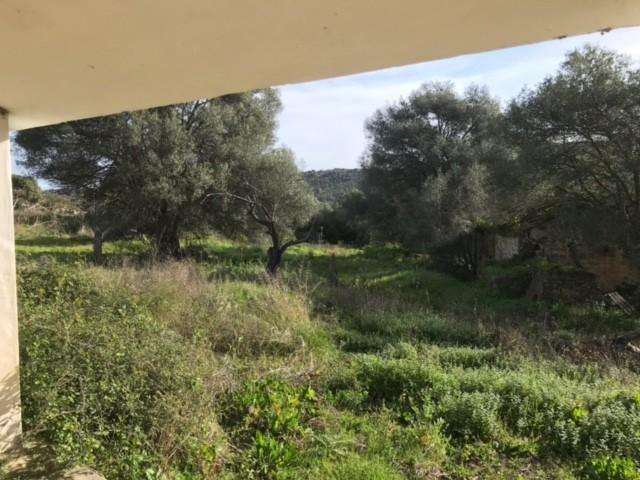  - foto 8