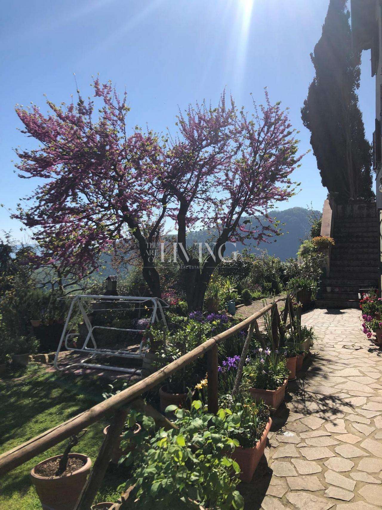  - foto 35