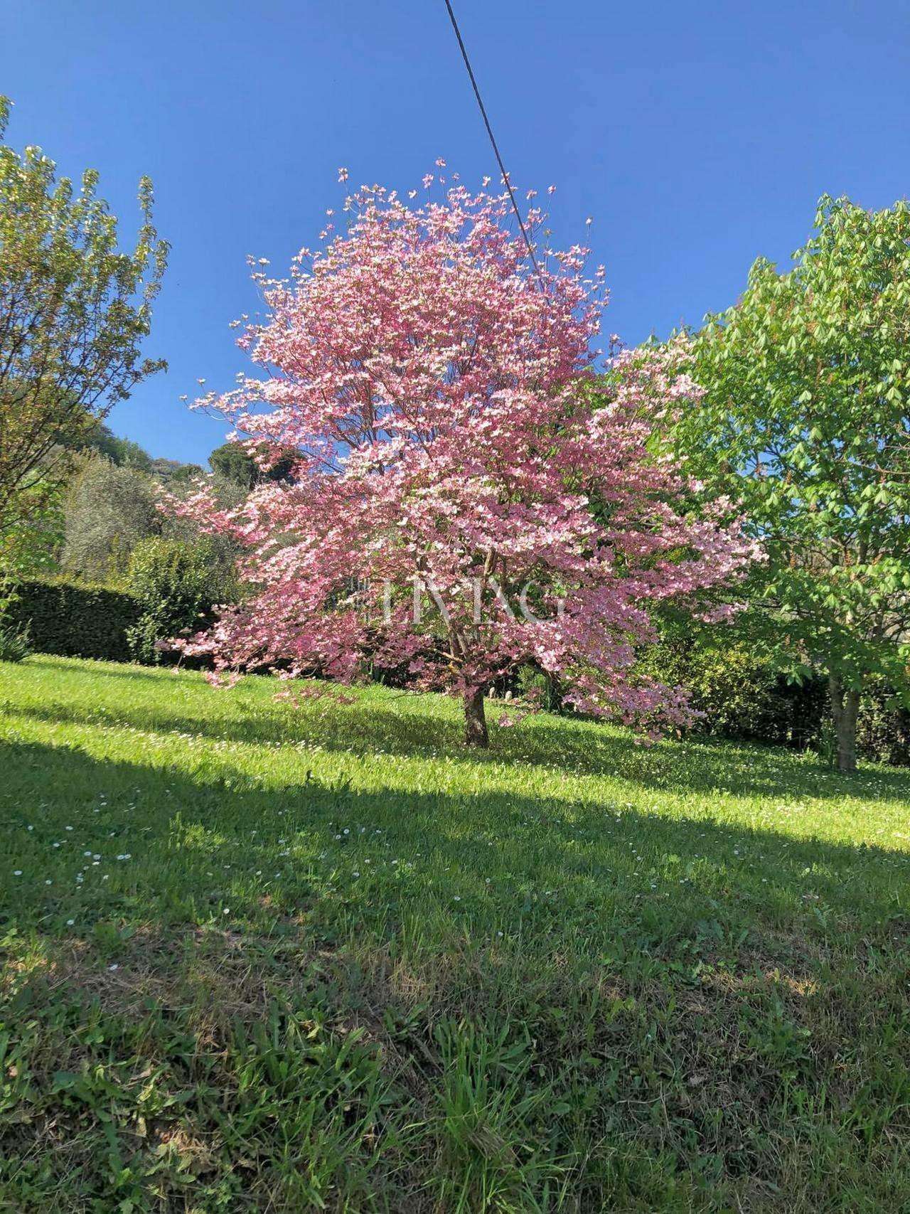 - foto 38