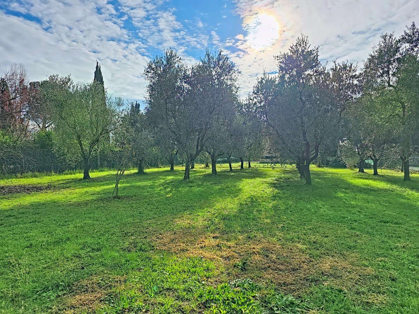  - foto 11
