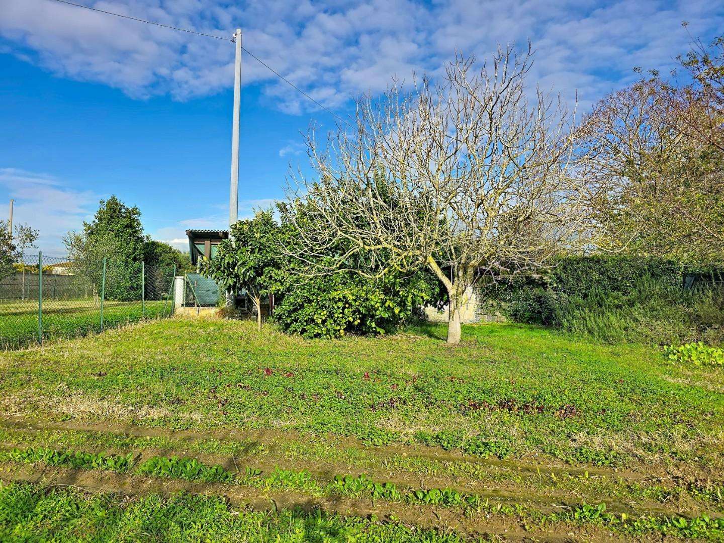  - foto 31
