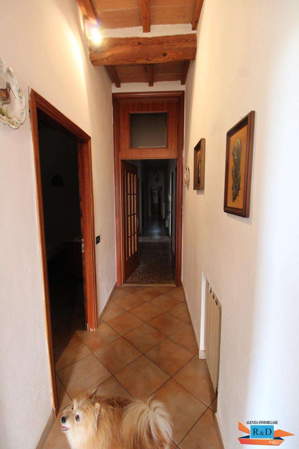  - foto 19