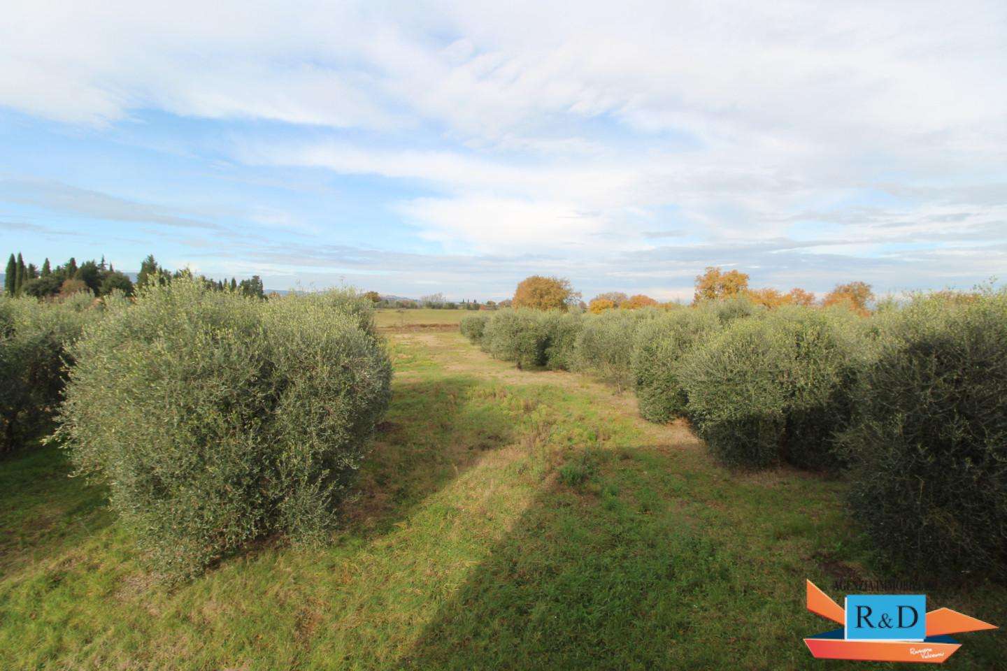  - foto 22