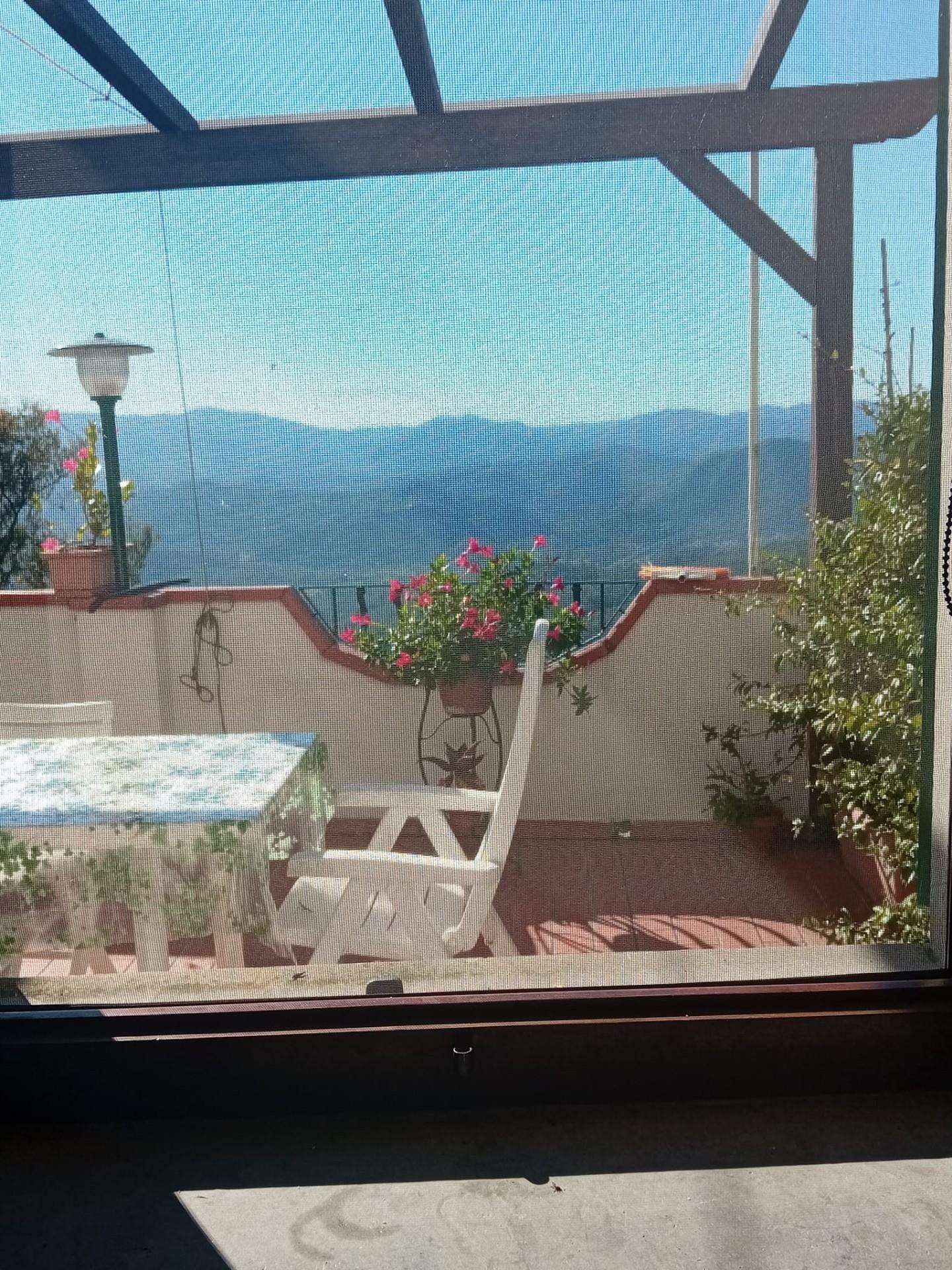  - foto 9
