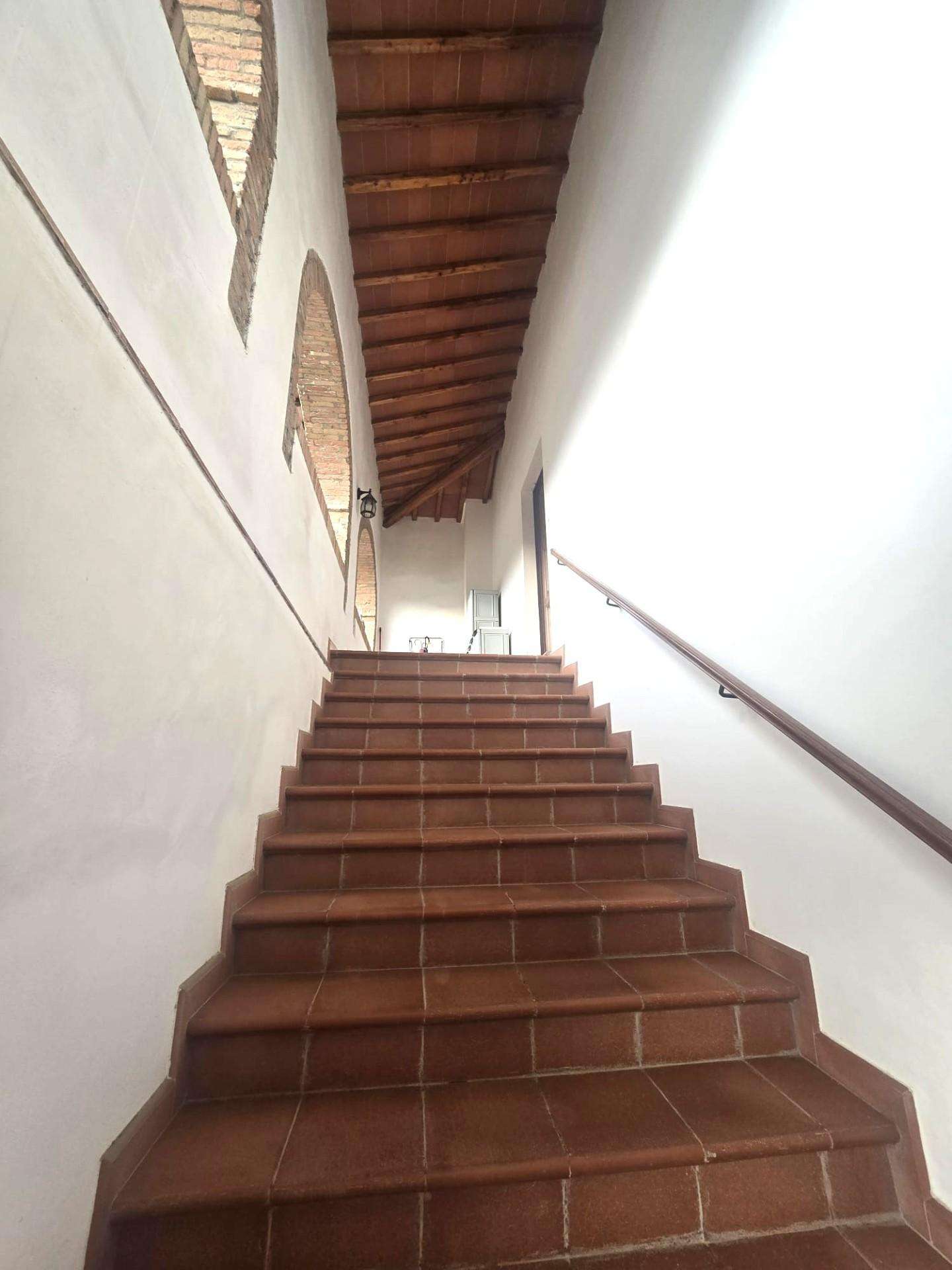  - foto 19