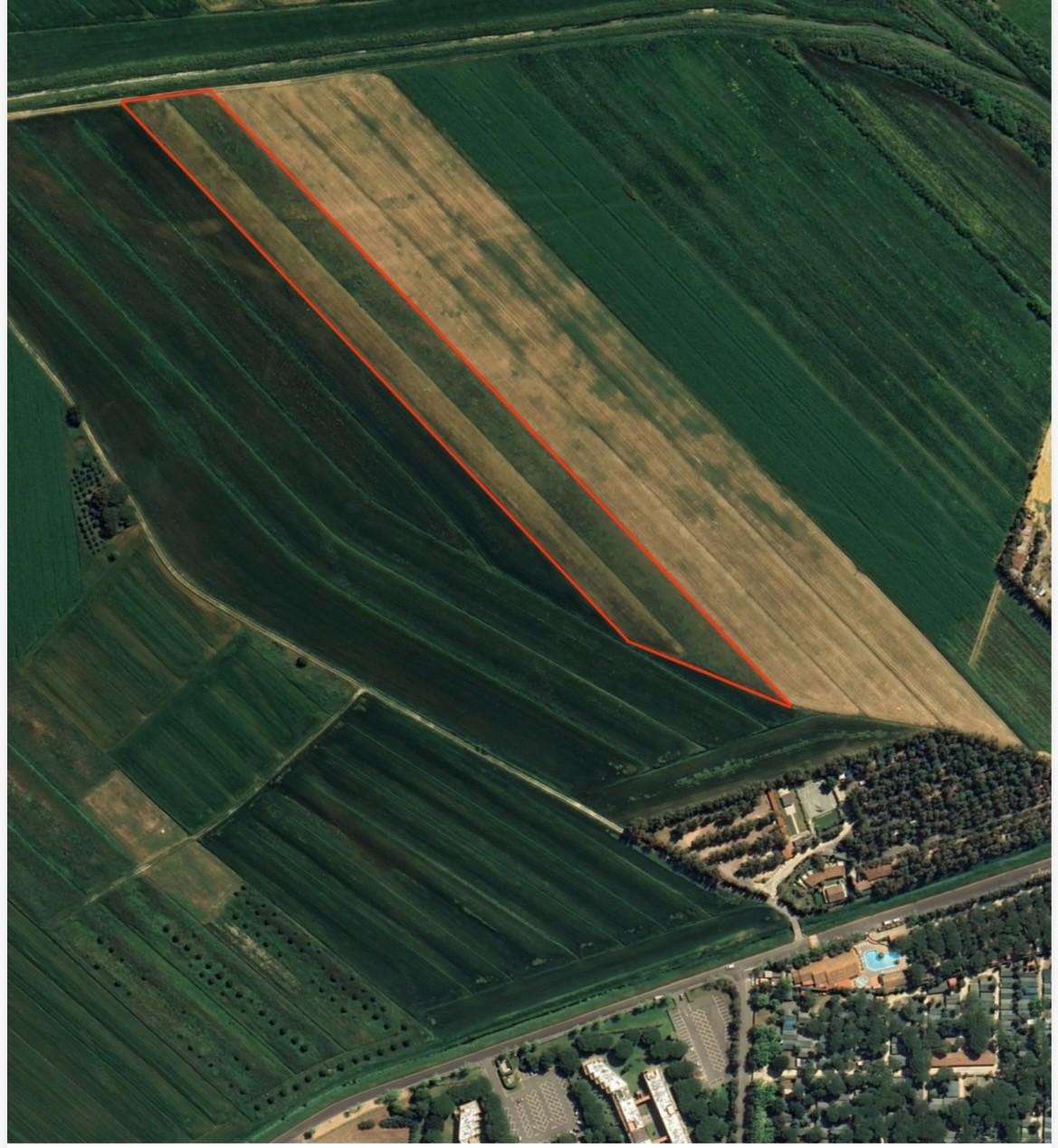 Terreno agricolo Via dei Platani, B, Bibbona