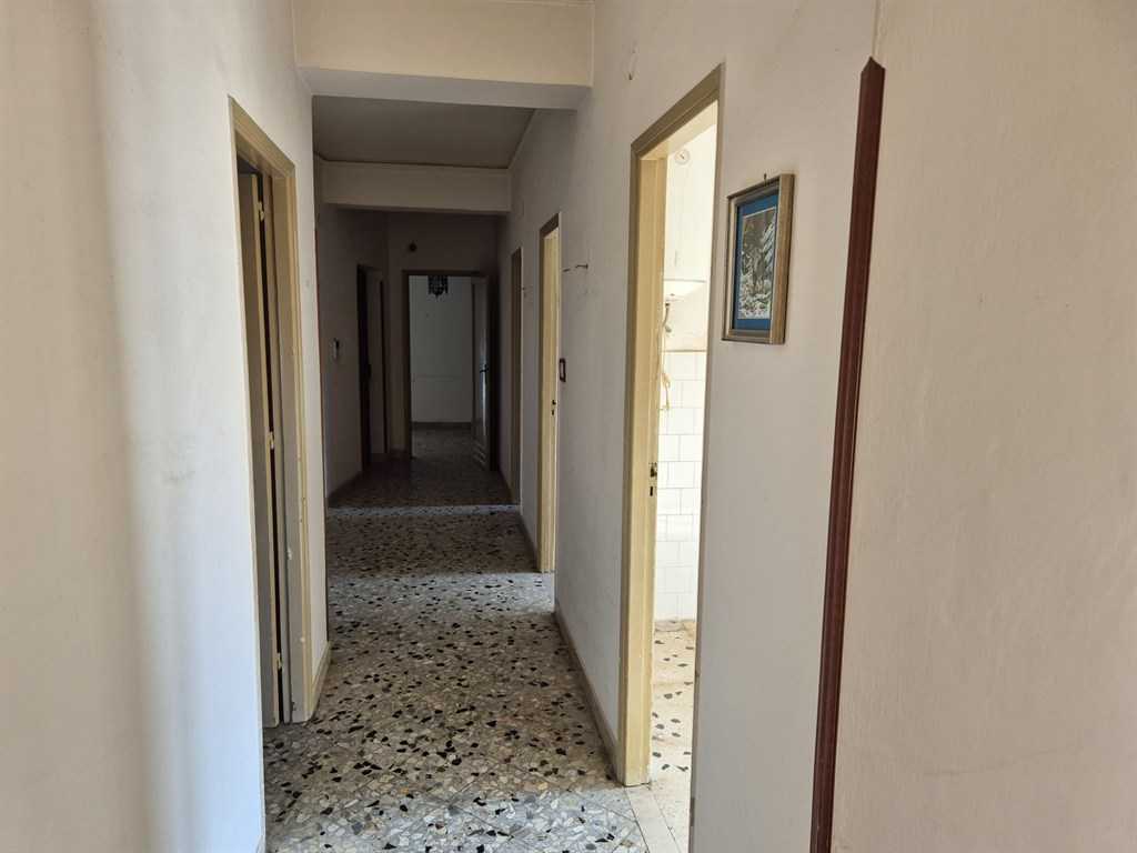  - foto 6