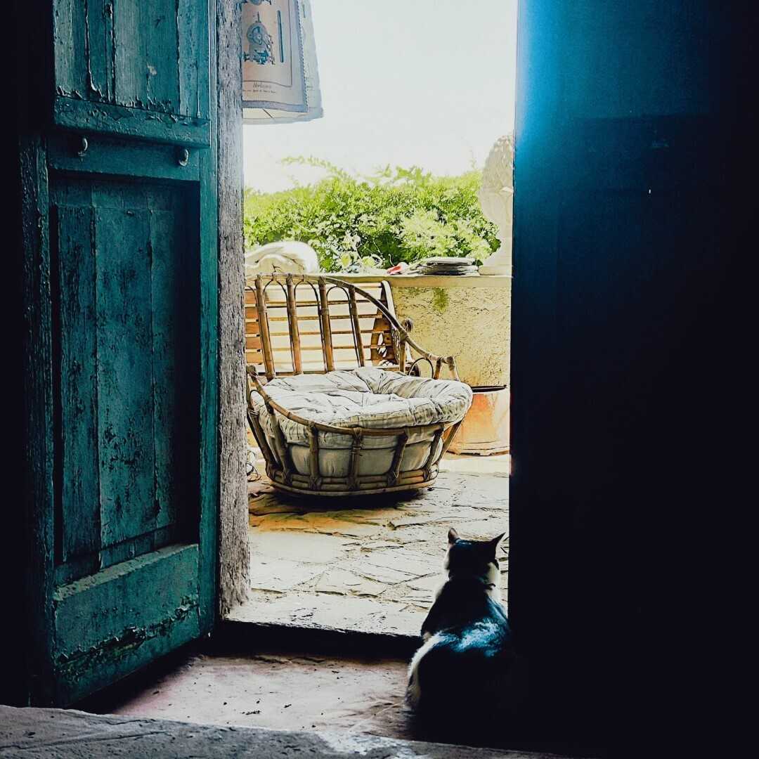 - foto 8