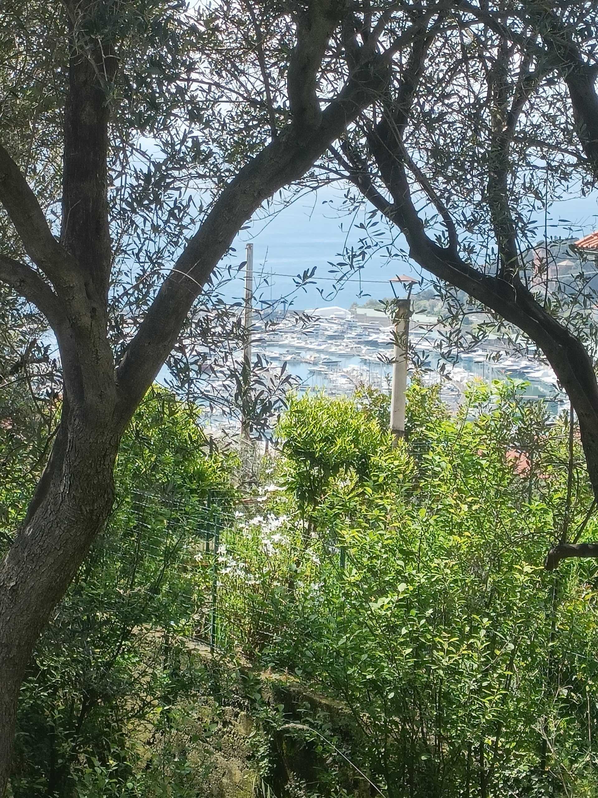  - foto 11
