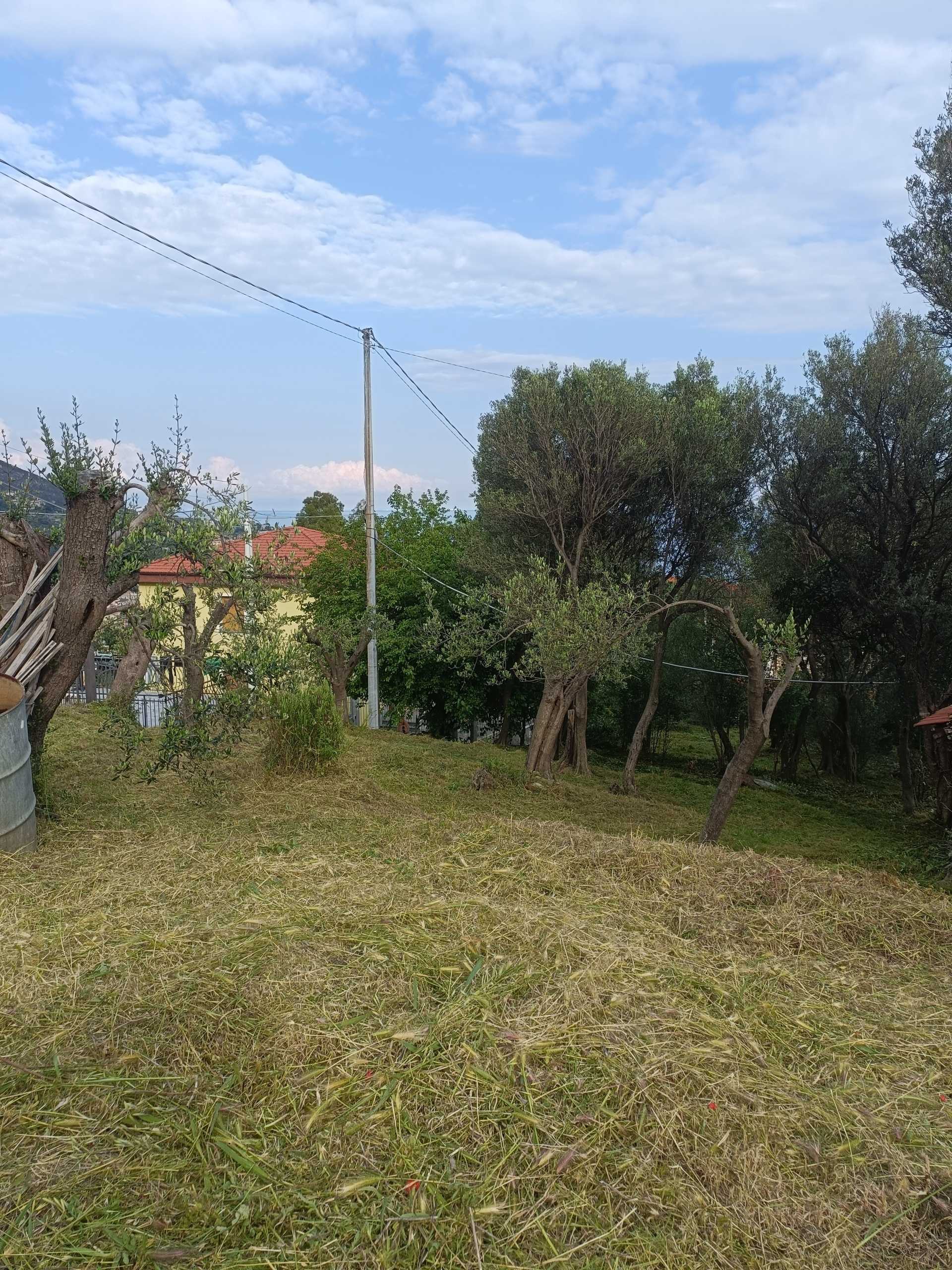  - foto 4