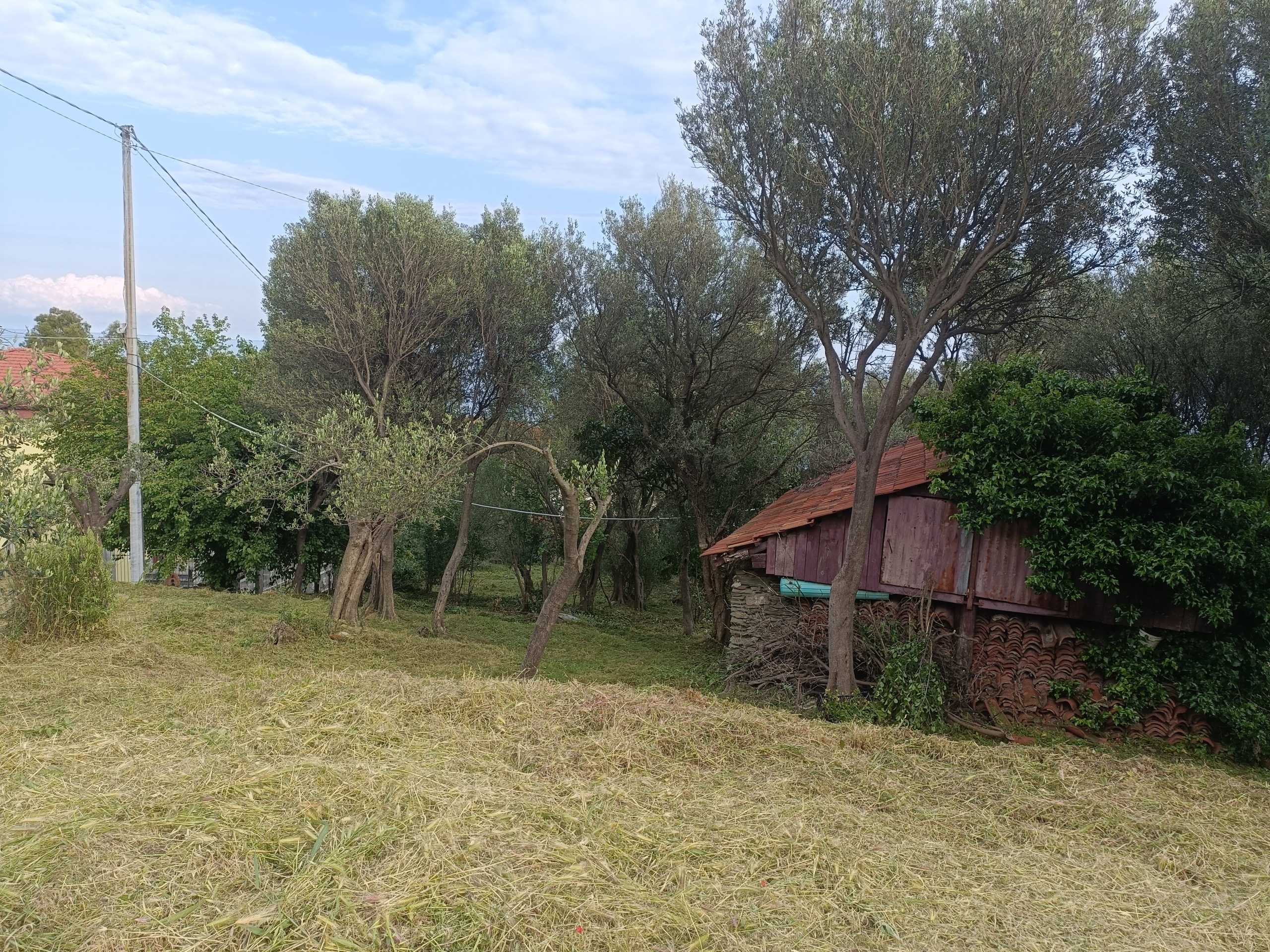  - foto 5