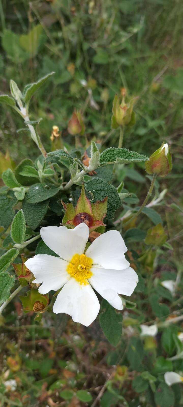  - foto 76
