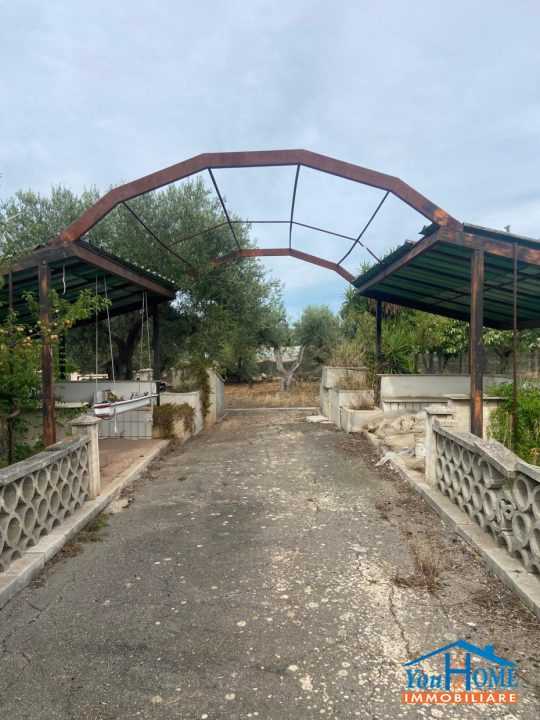  - foto 4