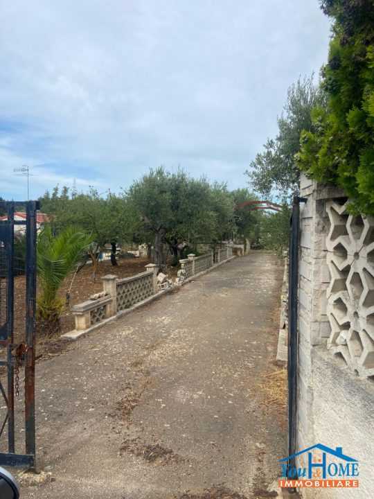  - foto 5