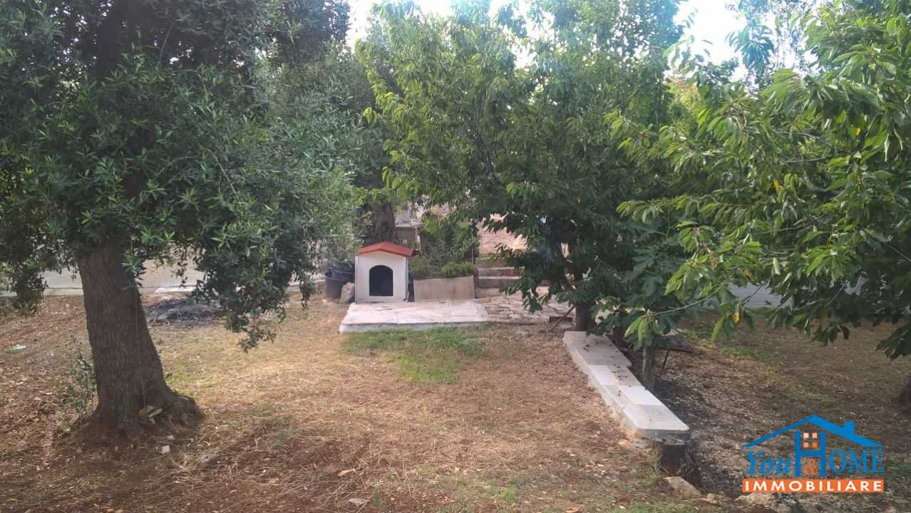  - foto 2