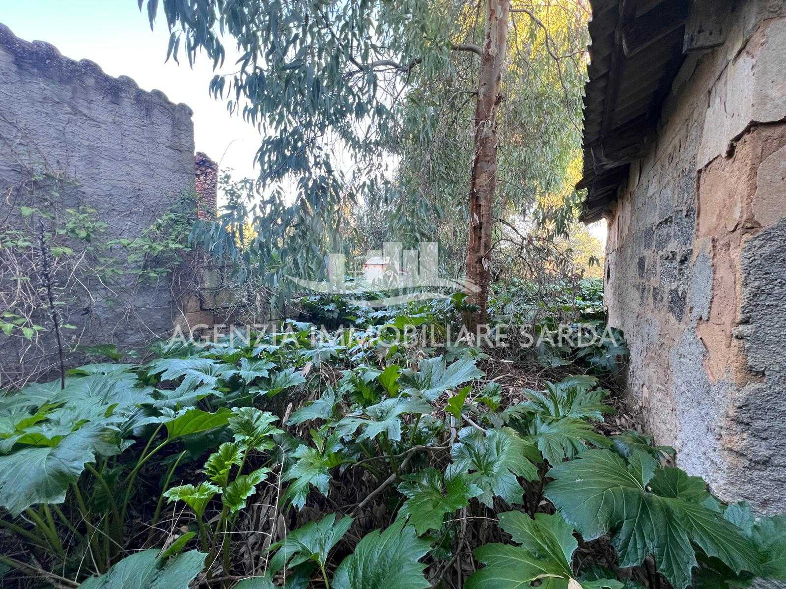  - foto 20