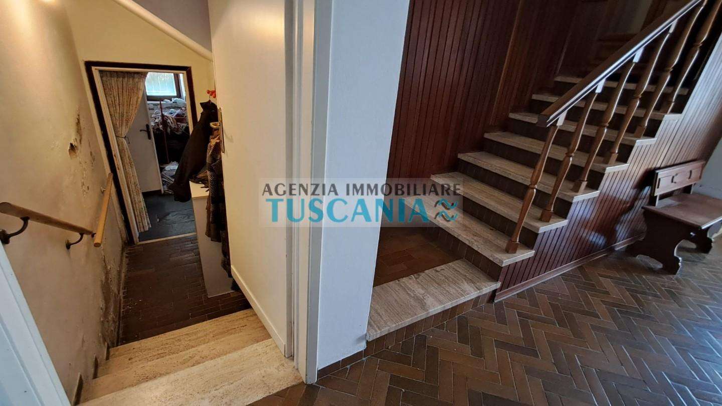  - foto 31