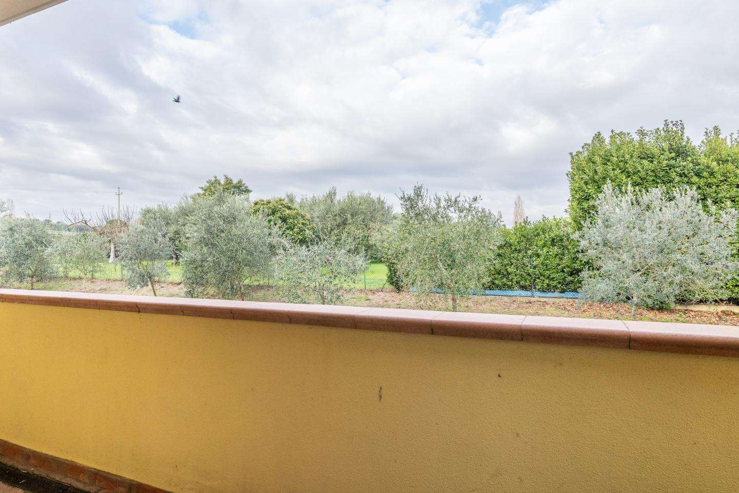  - foto 15