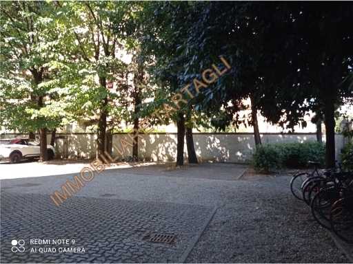  - foto 14
