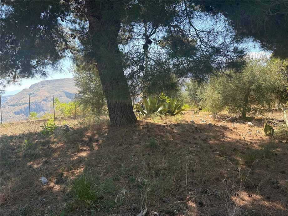  - foto 12