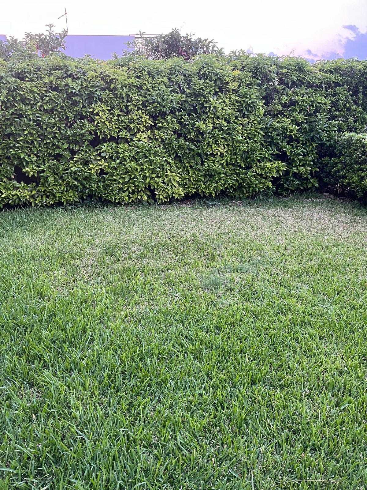  - foto 17