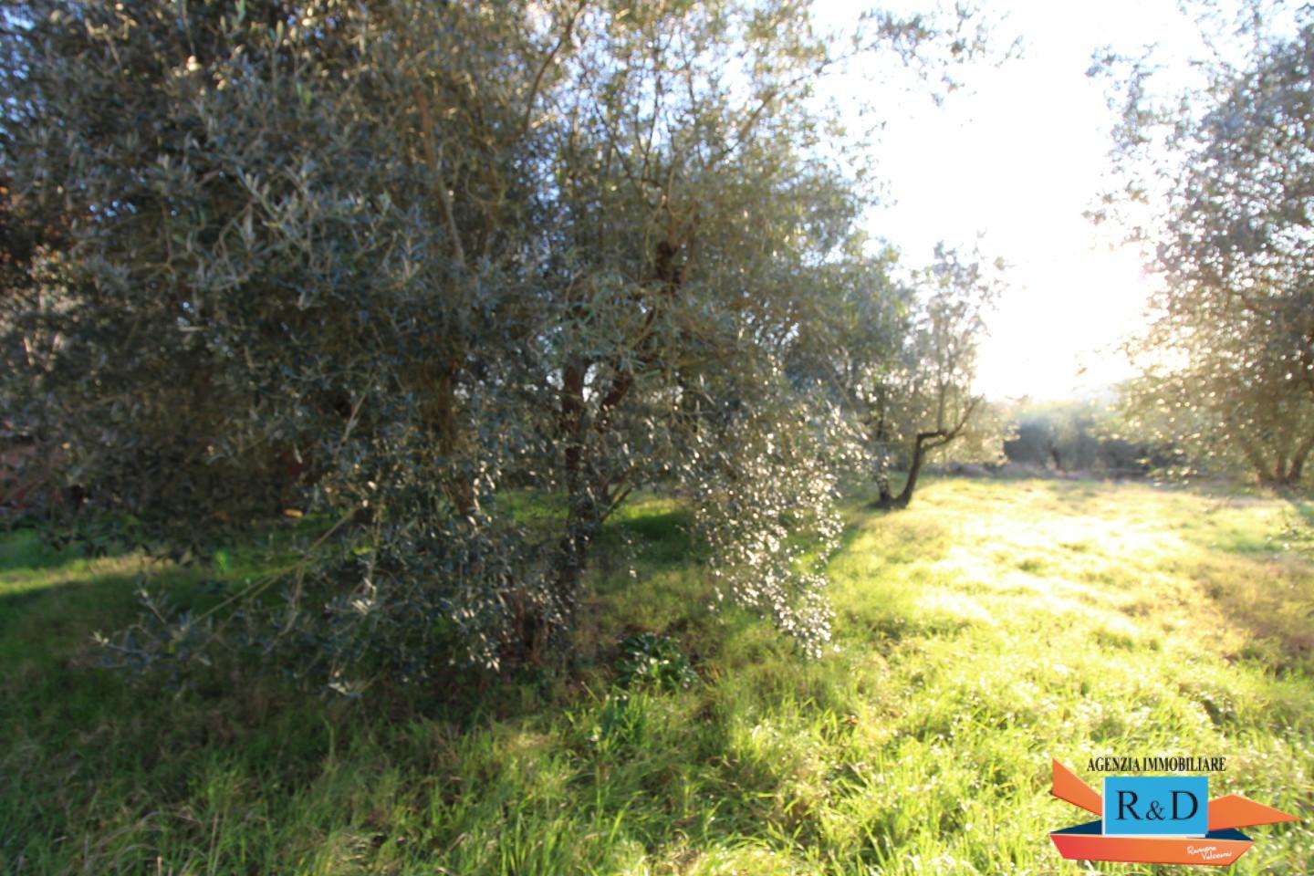  - foto 32