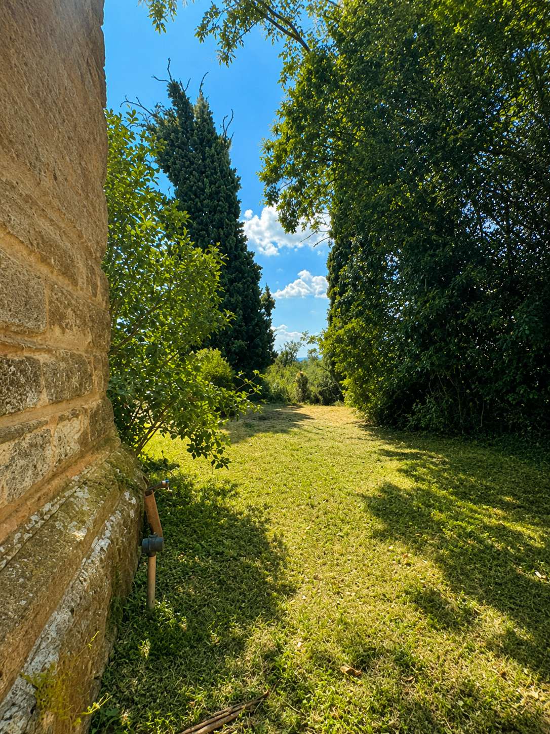  - foto 3