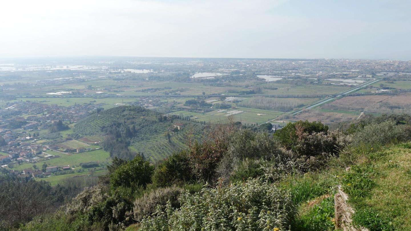 - foto 67
