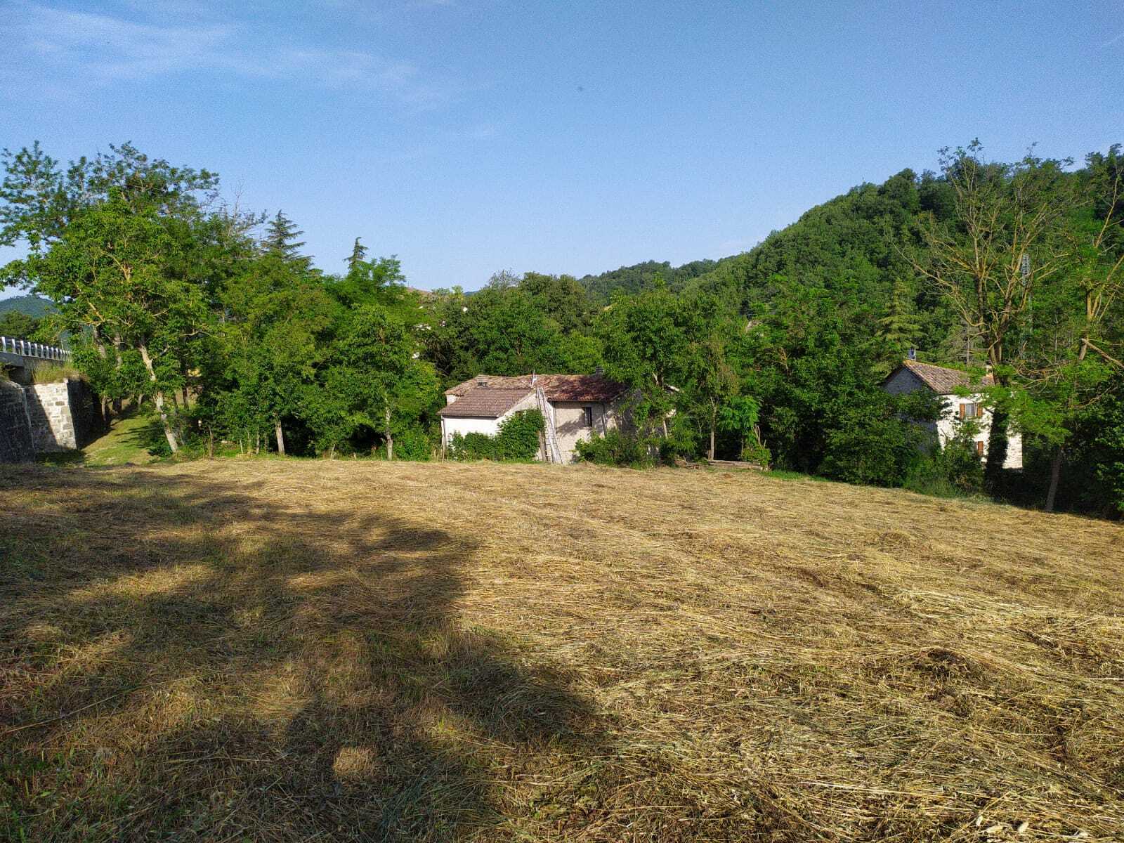  - foto 53
