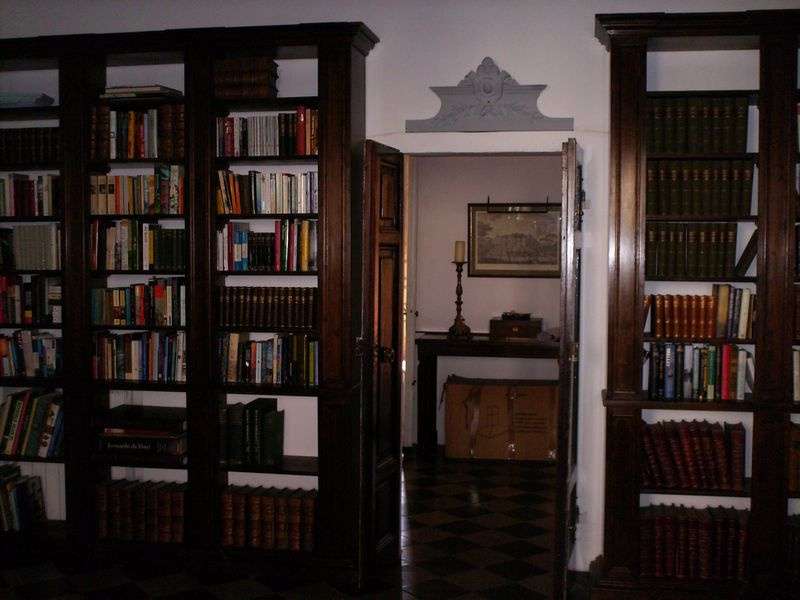  - foto 9