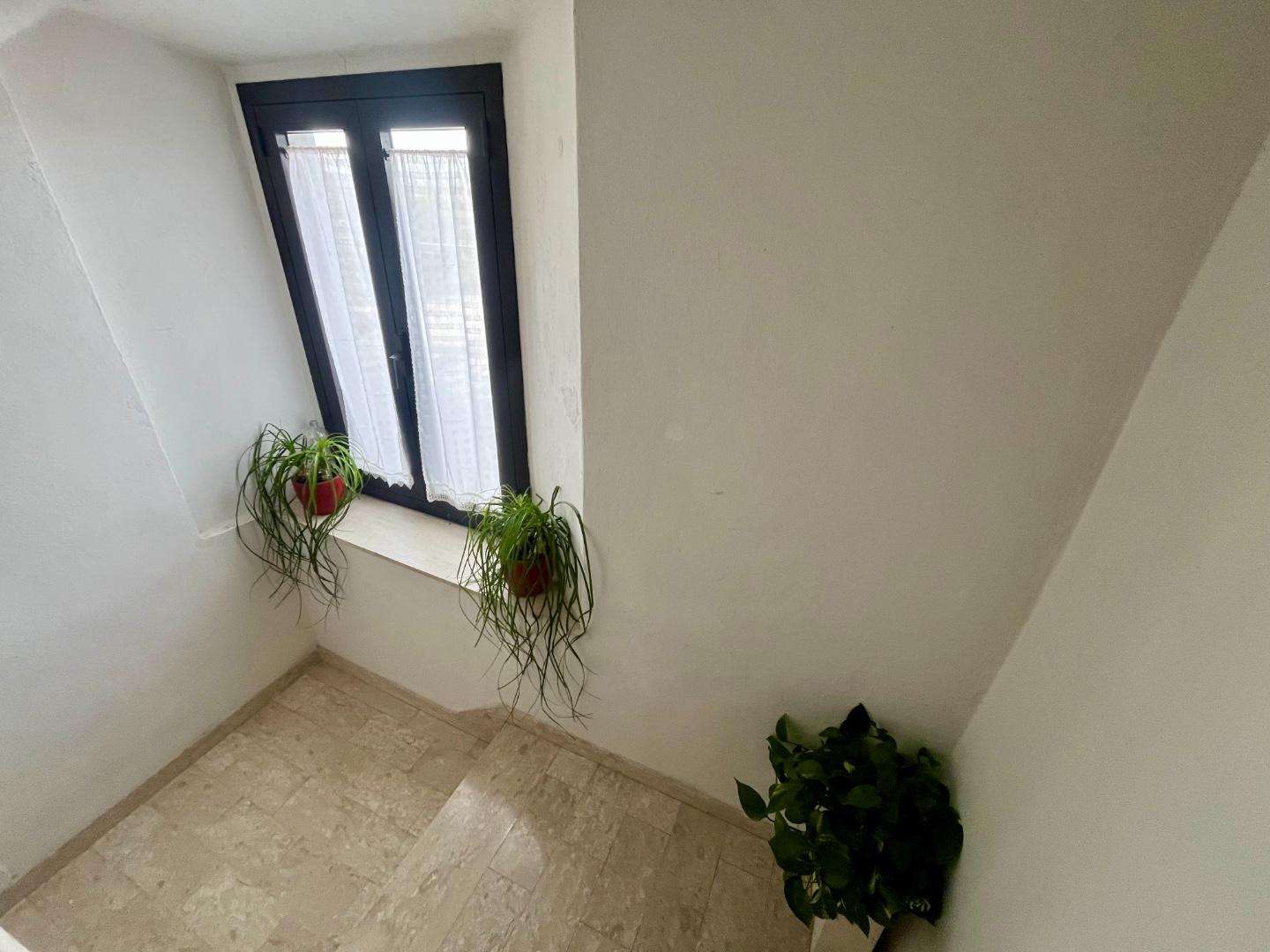  - foto 21