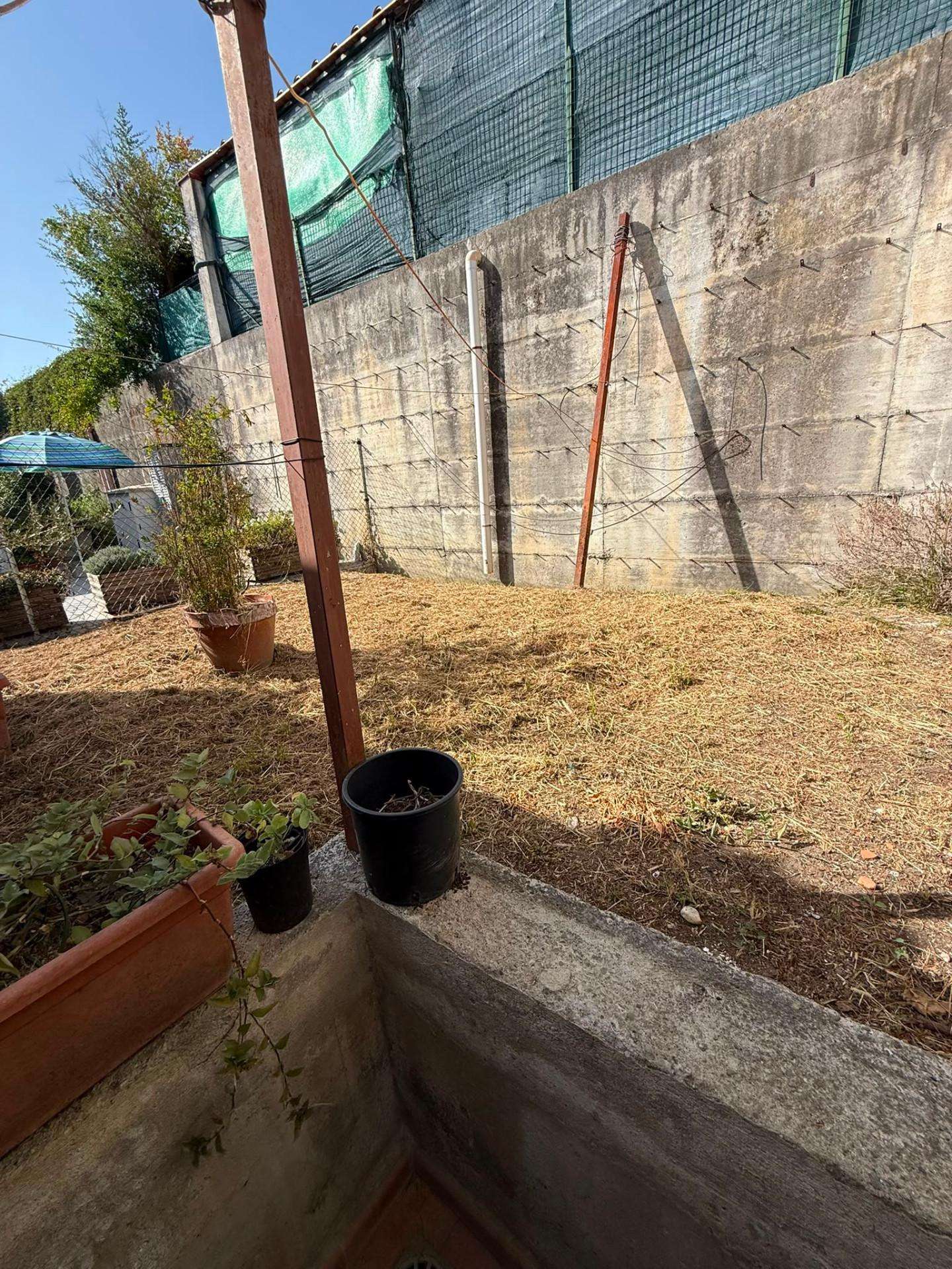  - foto 37