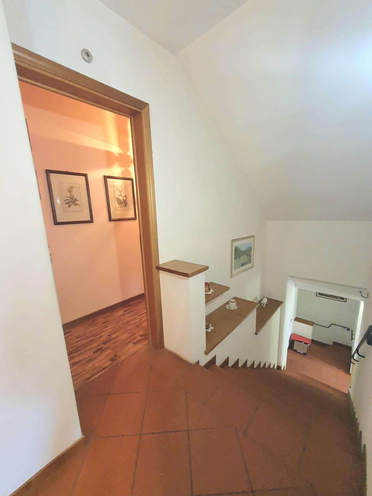  - foto 17