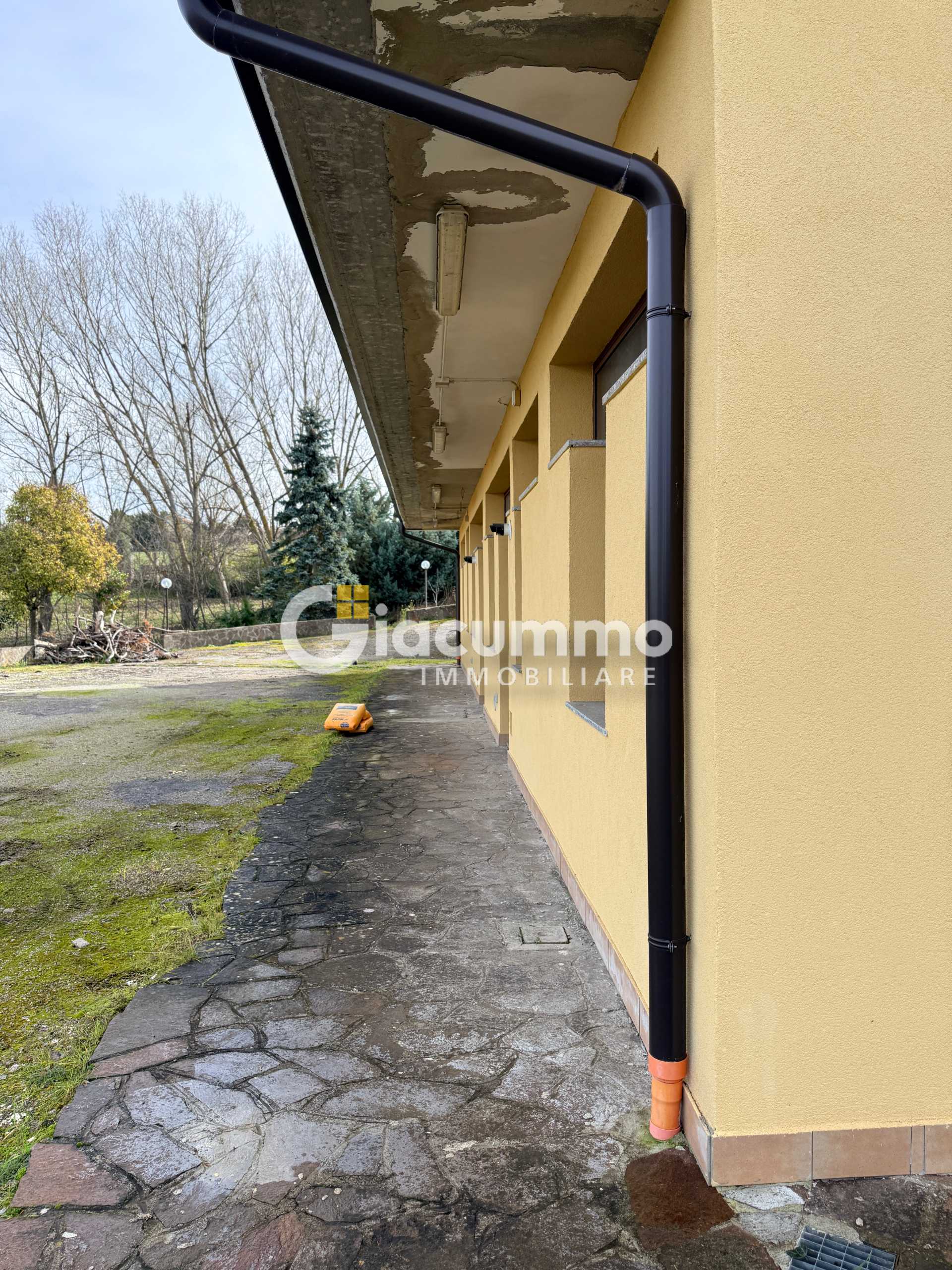  - foto 46
