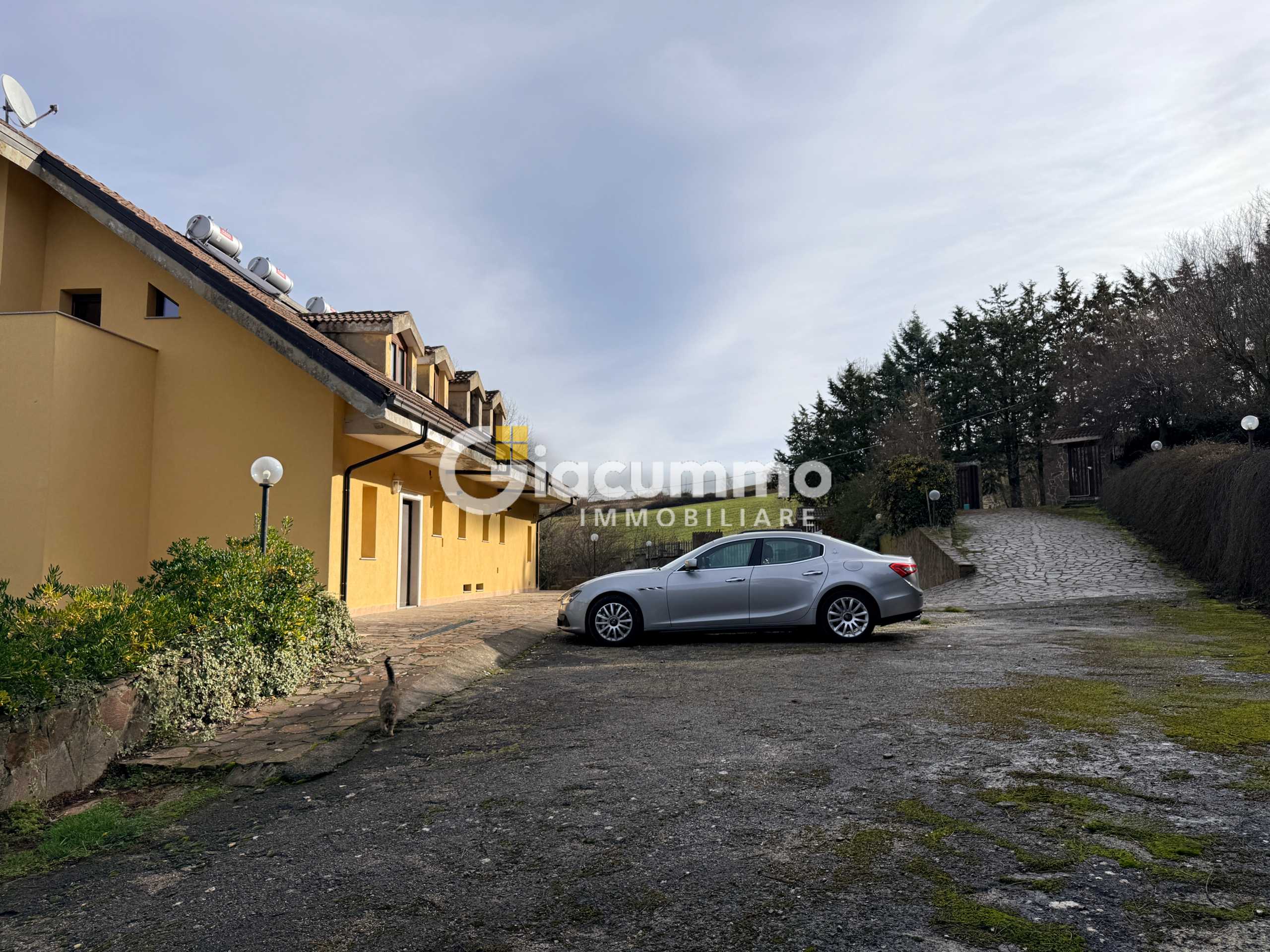  - foto 51