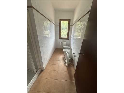  - foto 29