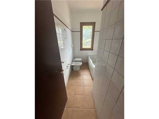  - foto 31