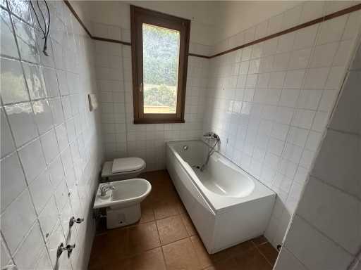  - foto 32