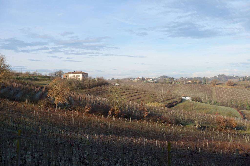  - foto 30