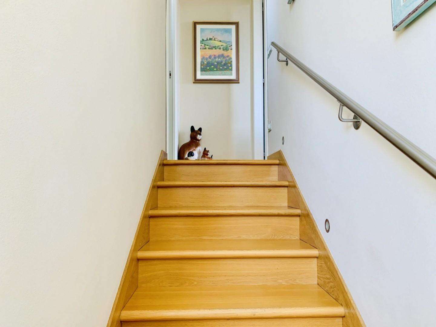  - foto 30