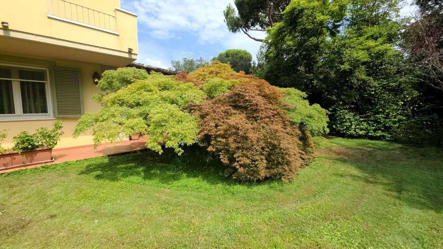  - foto 13